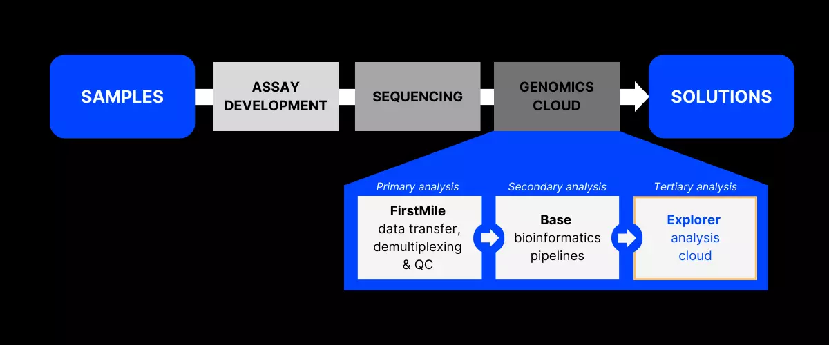 End to end w explorer