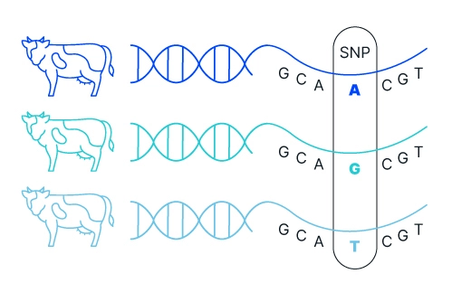 7212 GC urgent graphics COW 1