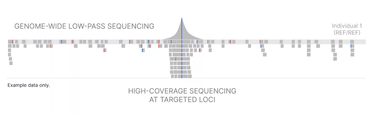 7044 GC Infini SEEK Info Graphic SINGLE 4