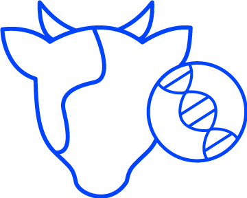 Breed Analysis Cow Blue