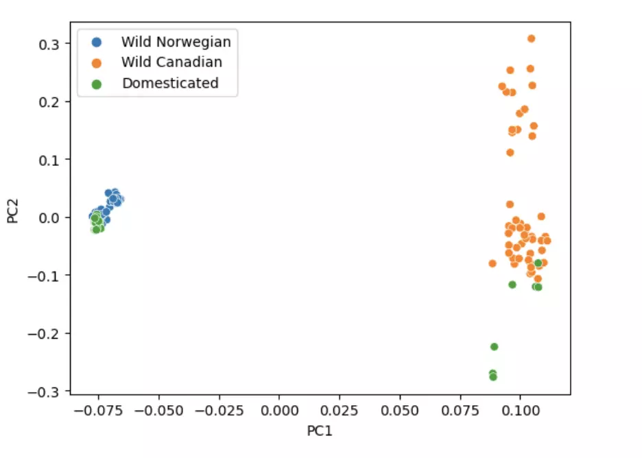 Screen Shot 2022 11 26 at 8 37 14 PM